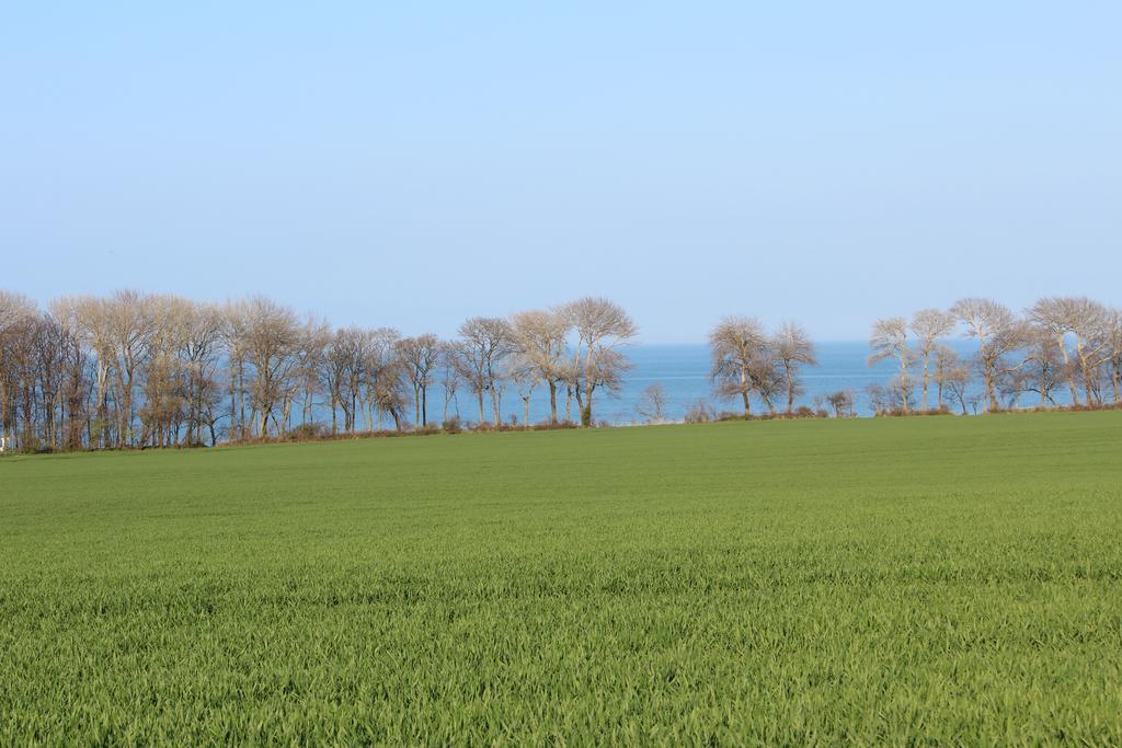 Aparthotel Museumshof Fehmarn Exteriér fotografie